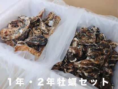 サロマ湖産 牡蠣 食べ比べセット